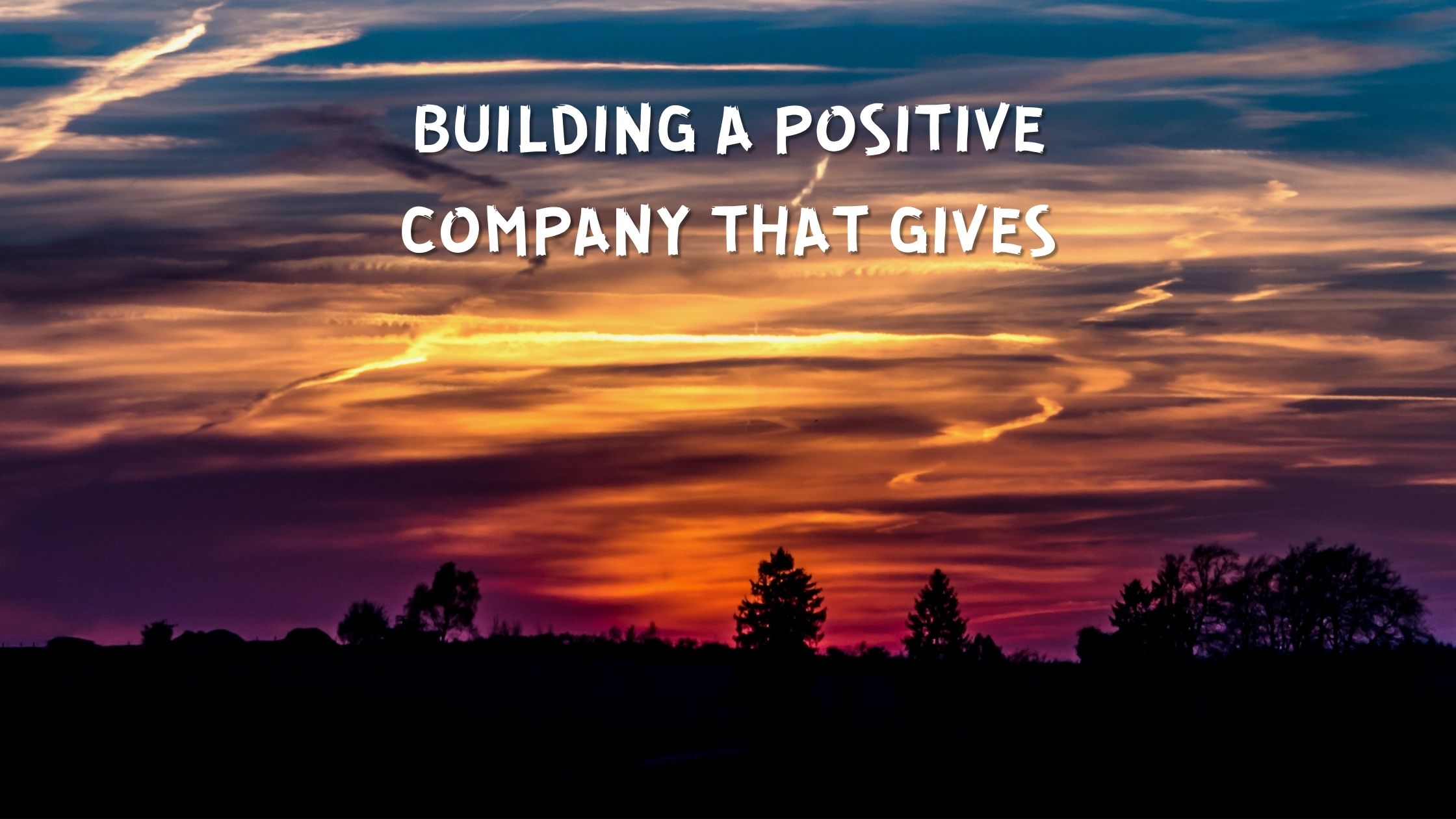 Building a Positive Company that Gives
