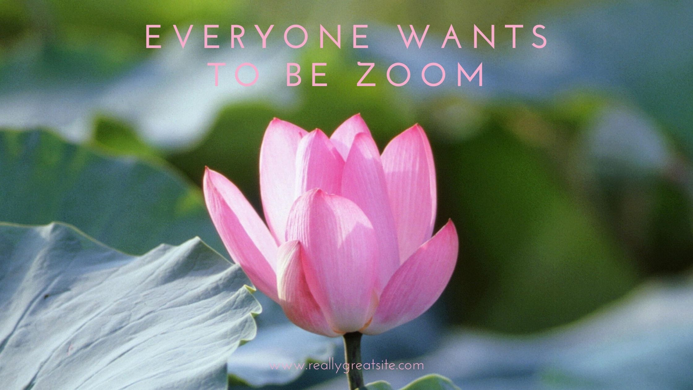Everyone wants to be Zoom
